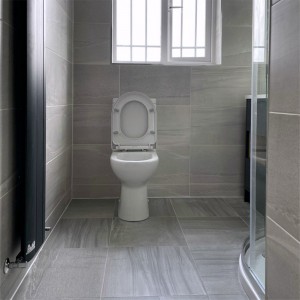 Toilet in Main Bathroom installation in a Dublin home- by Clondalkin Gas, Ireland